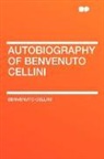 Benvenuto Cellini - Autobiography of Benvenuto Cellini