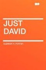 Eleanor H. Porter - Just David