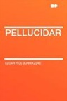 Edgar Ric Burroughs, Edgar Rice Burroughs - Pellucidar