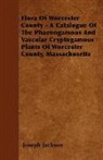 Joseph Jackson - Flora of Worcester County - A Catalogue