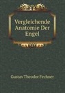 Gustav Theo Fechner, Gustav Theodor Fechner - Vergleichende Anatomie Der Engel