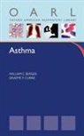 William Berger, William (Clinical Professor at the College of Medicine Berger, William E Berger, William E. Berger, Berger William - Asthma