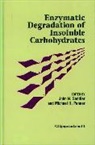 J.n. Penner Sadder, John N. Saddler, John N. Penner Saddler, Sadler, Michael H. Penner, John N. Saddler - Enzymatic Degradation of Insoluble Carbohydrates