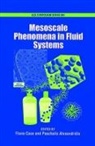 Fiona Case, Fiona Alexandridis Case, Paschalis Alexandridis, Paschalis (Professor Alexandridis, Alexandridis Paschalis, Fiona Case... - Mesoscale Phenomena in Fluid Systems