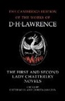 D. H. Lawrence, Christa Jansohn, Dieter Mehl, Prof Dr. Dieter Mehl - First and Second Lady Chatterley Novels