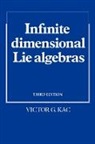 Victor G. Kac, Kac V - Infinite-Dimensional Lie Algebras