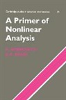 Antonio Ambrosetti, Antonio Prodi Ambrosetti, Giovanni Prodi - Primer of Nonlinear Analysis