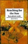 John King - Reaching for the Sun