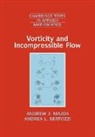 Andrea L. Bertozzi, Andrew Bertozzi Majda, Andrew J. Majda, Andrew J. (New York University) Bertozzi Majda - Vorticity and Incompressible Flow