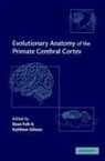Dean (Professor Falk, Dean Gibson Falk, Dean Falk, Dean (Professor Falk, Kathleen Gibson, Kathleen R. Gibson... - Evolutionary Anatomy of the Primate Cerebral Cortex