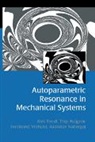 Nabergoj Radoslav, M. Ruijgrok, Thijs Ruijgrok, Ruijgrok Thijs, A. Ruijgrok Tondl, Ales Tondl... - Autoparametric Resonance in Mechanical Systems