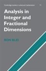 R. C. Blei, Ron Blei, Ron (University of Connecticut) Blei, Ron C. Blei, Bela Bollobas - Analysis in Integer and Fractional Dimensions