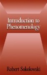 Robert Sokolowski, Robert (Catholic University of America Sokolowski, Sokolowski Robert - Introduction to Phenomenology