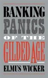 Elmus Wicker, Elmus R. Wicker - Banking Panics of the Gilded Age