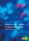 Jan Posthumus, Jan (Universitat Munchen) Posthumus, Jan Posthumus, Posthumus Jan - Molecules and Clusters in Intense Laser Fields