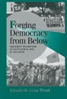 Elisabeth Jean Wood, Elisabeth Jean (Professor Wood, Robert H. Bates, Peter Lange - Forging Democracy From Below