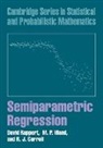 R. J. Carroll, R. J. (Texas A &amp; M University) Carroll, Raymond J. Carroll, D. Wand Ruppert, David Ruppert, David (Cornell University Ruppert... - Semiparametric Regression