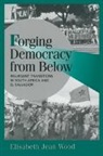 Elisabeth Jean Wood, Elisabeth Jean (Professor Wood, Robert H. Bates, Peter Lange - Forging Democracy From Below
