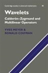 Ronald Coifman, Yves Meyer, Yves Coifman Meyer - Wavelets