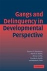 Marvin D. Krohn, Marvin D. (State University of New York Krohn, Alan D. Lizotte, Alan J. Lizotte, Alan J. (State University of New York Lizotte, Carolyn A. (State University of New York Smith... - Gangs and Delinquency in Developmental Perspective