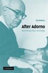 Professor Tia Denora, Tia DeNora, Tia (University of Exeter) Denora - After Adorno