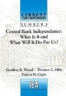 Forrest H. Capie, Geoffrey E. Wood, T. C. Mills, Geoffrey E. Wood, Geoffrey E. Mills Wood - Central Bank Independence