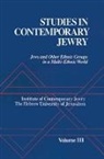 Jonathan Medding Frankel, Ezra Mendelsohn, Jonathan Frankel, Frankel Jonathan, Peter Y. Medding, Medding Peter Y.... - Studies in Contemporary Jewry: Iii: Jews and Other Ethnic Groups in