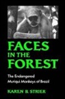 Karen B. Strier, Karen B. (Professor of Anthropology Strier, Strier Karen B. - Faces in the Forest