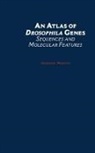 Gustavo Maroni, Gustavo (Associate Professor Maroni, Maroni Gustavo, Stephen M. Mount - Atlas of Drosophila Genes