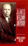 James Weldon Johnson, Johnson James Weldon, Sondra Kathryn Wilson, Sondra Kathryn (Associate of the W.E.B. DuBois Institute; Founder/President of The James Weldon Johnson Foundation; Editor of James Weldon Johnson Papers Project Wilson, Wilson Sondra Kathryn - Selected Writings of James Weldon Johnson: Volume I: The New York