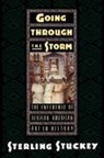 Sterling Stuckey, Sterling (Professor of History Stuckey - Going Through the Storm