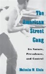 Klein, Malcolm W. Klein - The American Street Gang