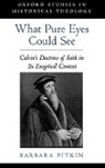 Barbara Pitkin, Barbara (Assistant Professor of Religious Pitkin, Pitkin Barbara - What Pure Eyes Could See