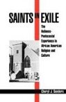 Cheryl J. Sanders, Cheryl J. (Professor of Christian Ethics Sanders - Saints in Exile