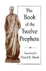 Book of the Twelve Prophets