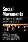 David S. (Associate Professor of Sociology Meyer, David S. Whittier Meyer, Meyer, David S. Meyer, Belinda Robnett, Nancy Whittier - Social Movements