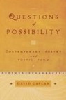 David Caplan, David (Assistant Professor Caplan - Questions of Possibility