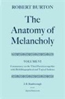 J. B. Bamborough, J. B. (Former Principal Bamborough, J. B. Dodsworth Bamborough, J.b. Bamborough, Robert Burton, Martin Dodsworth... - Robert Burton: The Anatomy of Melancholy: Volume Vi: Commentary on