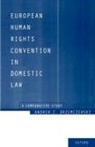 Andrew Z. Drzemczewski, Andrew Z. (Principal Officer Drzemczewski, Drzemczewski Andrew Z., Andrew Z. Drzemeczewski - European Human Rights Convention in Domestic Law