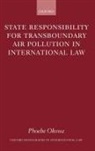 Phoebe Okowa, Phoebe (Lecturer in Law Okowa, Phoebe N Okowa, Phoebe N. Okowa, Okowa Phoebe - State Responsibility for Transboundary Air Pollution in