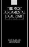 David Clark, David (Associate Professor Clark, David J. Clark, David Mccoy Clark, Gerard McCoy, McCoy Gerard - Most Fundamental Legal Right
