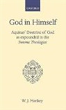 W J Hankey, W. J. Hankey, W. J. (Associate Professor of Classics Hankey, W.j. Hankey - God in Himself