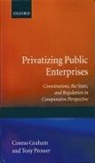 Cosmo Graham, Cosmo (Lecturer in Law Graham, Cosmo Prosser Graham, Graham Cosmo, Tony Prosser, Tony (Senior Lecturer in Law Prosser... - Privatizing Public Enterprises