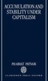 P. Patnaik, Prabhat Patnaik, Prabhat (Chairman Patnaik, Patnaik Prabhat - Accumulation and Stability Under Capitalism