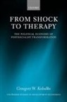 Kolodko, Grzegorz W Kolodko, Grzegorz W. Kolodko, Grzegorz W. (Professor of Economics and E Kolodko, Grzegorz W. Professor Kolodko, Grzegorz W Koodko... - From Shock to Therapy