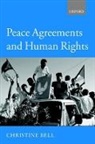Christine Bell - Peace Agreements and Human Rights