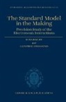 Dima Bardin, Dima (Laboratory of Nuclear Problems Bardin, Dima Passarino Bardin, Giampiero Passarino, Giampiero (Associate Professor of Theoretical Physics Passarino - Standard Model in the Making