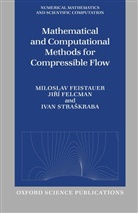 M. Felcman Feistauer, Miloslav Feistauer, Miloslav (Faculty of Mathematics and Ph Feistauer, Miloslav Felcman Feistauer, Feistauer Miloslav, Jiri Felcman... - Mathematical and Computational Methods for Compressible Flow