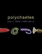 Fredrik Pleijel, Fredrik (Museum National d'Histoire Naturelle Pleijel, Greg W. Rouse, Gregory Rouse, Gregory (School of Environmental Biology Rouse, Gregory Pleijel Rouse - Polychaetes