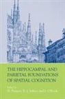 &amp;apos, N. Jeffery Burgess, Neil Jeffery Burgess, Burgess Jeffery O''''keefe, J. (All At keefe, Burgess... - Hippocampal and Parietal Foundations of Spatial Cognition